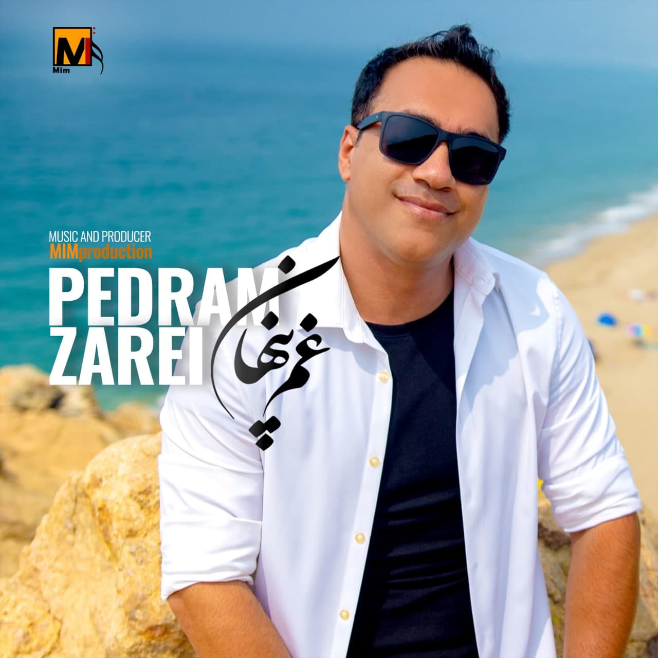 Pedram Zarei - Ghame Penham.jpg